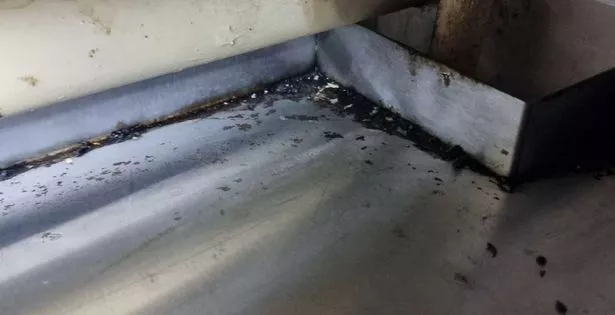 A photo taken during a April food hygiene inspection of Wirral Change where mouse droppings were found