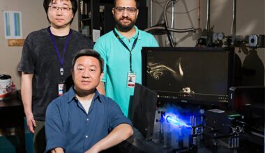 Universal law of quantum vortex dynamics discovered in superfluid helium