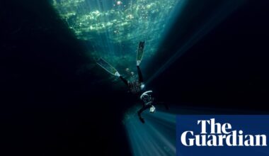 That sinking feeling: Australia’s Limestone Coast is drying up | South Australia