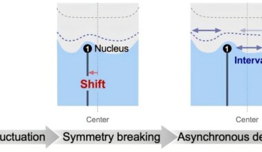 Boundary conditions reveal surprising behavior