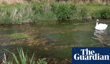 Labour using Brexit to weaken nature laws, MPs say | Green politics