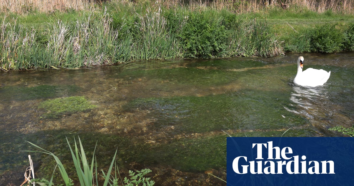 Labour using Brexit to weaken nature laws, MPs say | Green politics
