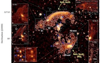 Astronomers observe the Sausage cluster at very low radio frequencies