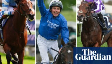 The Derby 2025: horse-by-horse guide to all the runners | The Derby