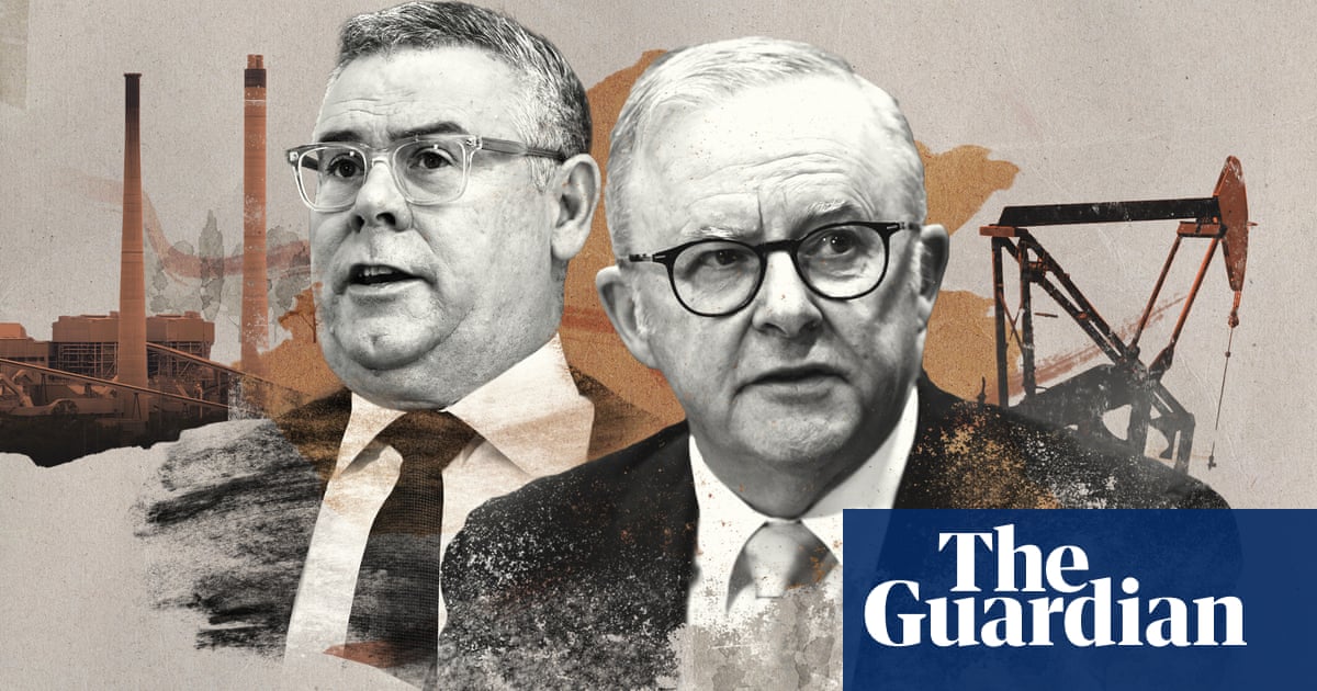 Labor accused of ‘gaslighting’ Australians on climate crisis as fossil fuel projects keep getting approved | Energy