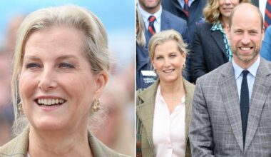 Sophie celebrated as an 'absolute asset' to the Royal Family after supporting Prince William