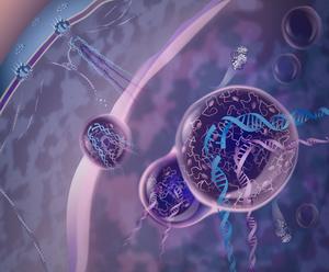 Breakthrough reveals how cells master difficult DNA repair and protect the genome with protein droplets