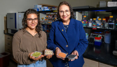 Fermenting legume pulses increases antioxidant and antidiabetic properties, study finds