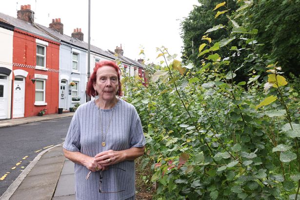 Pat Edwards on Kearsley Street