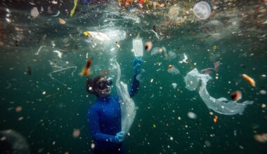 Oceans Awash in Plastic Waste