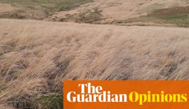 There’s an invader turning huge swathes of Britain into deserts – and these dead zones are spreading | George Monbiot