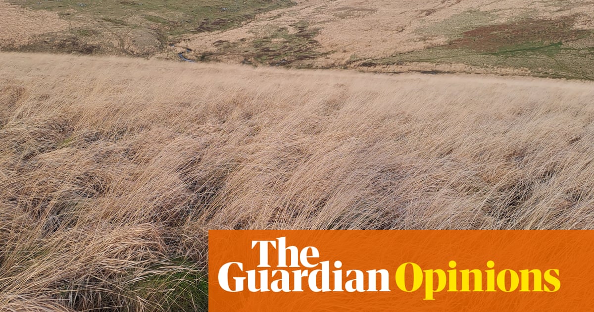 There’s an invader turning huge swathes of Britain into deserts – and these dead zones are spreading | George Monbiot