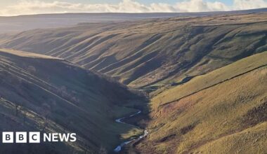 New nature reserve to return rainforests to Yorkshire Dales