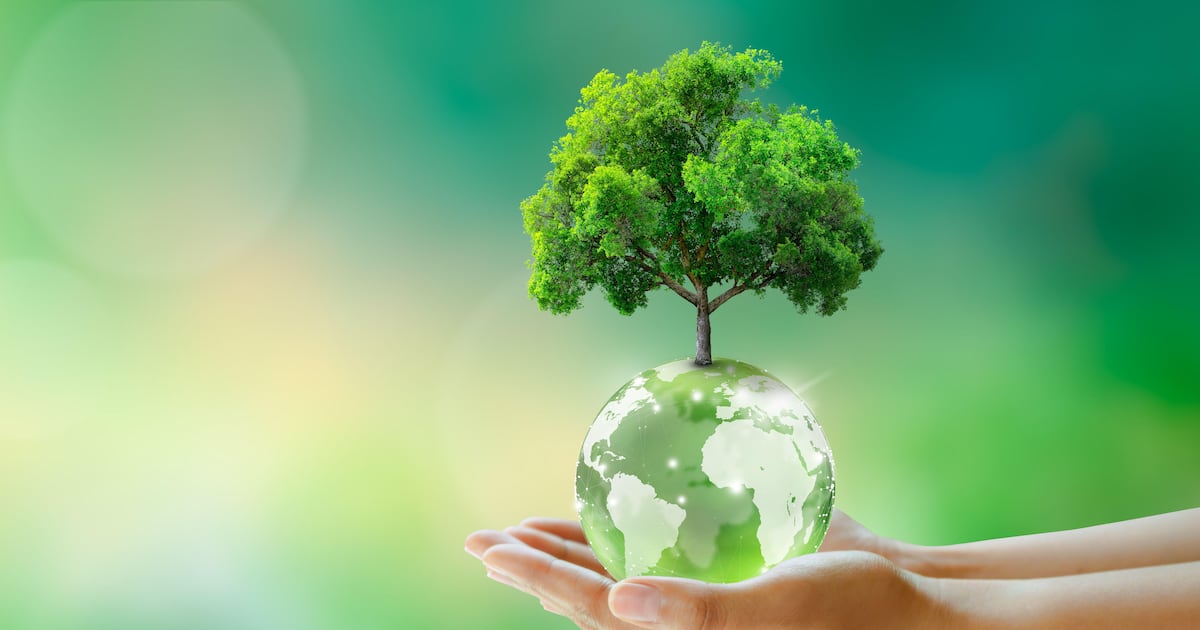 How renewable energy can help reshape Northern Ireland – The Irish News