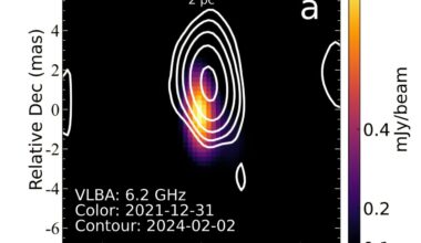 Relativistic jet detected in active galaxy Markarian 110