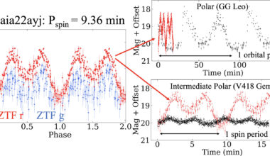 A 'teenage' white dwarf pulsar may be the missing link among magnetic stars
