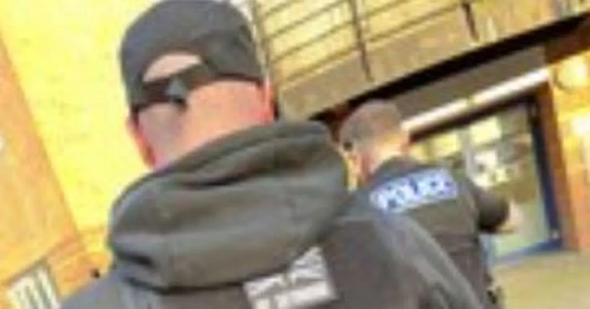 Ipso logo