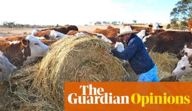 Parts of Australia are suffering another devastating drought, but you wouldn’t know it in the cities | Van Badham