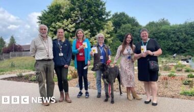 Volunteers create mental health wellbeing garden in Maidstone