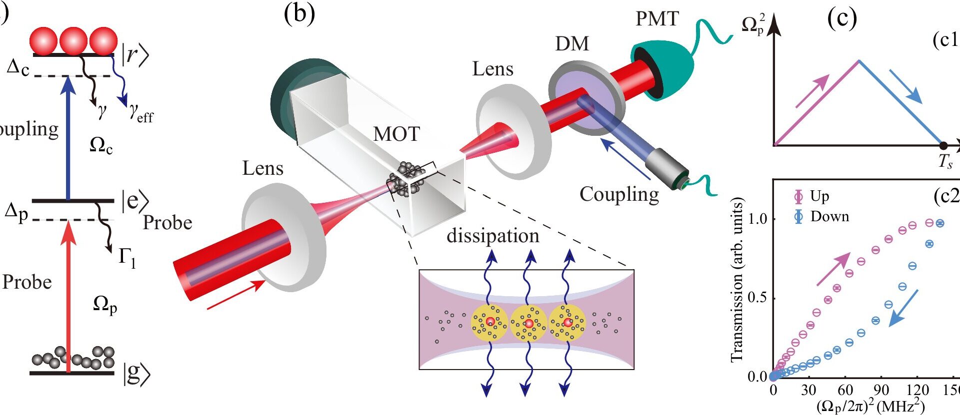 Charge-parity symmetry breaking revealed in Rydberg atom multibody systems