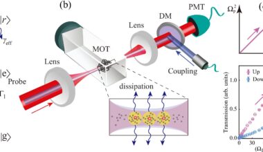 Charge-parity symmetry breaking revealed in Rydberg atom multibody systems