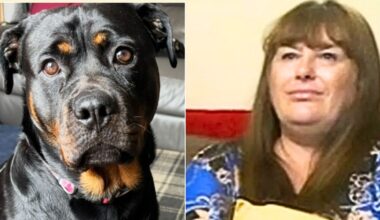 Gogglebox family leave fans heartbroken as they share grief update days on from Channel 4 stars' sad loss