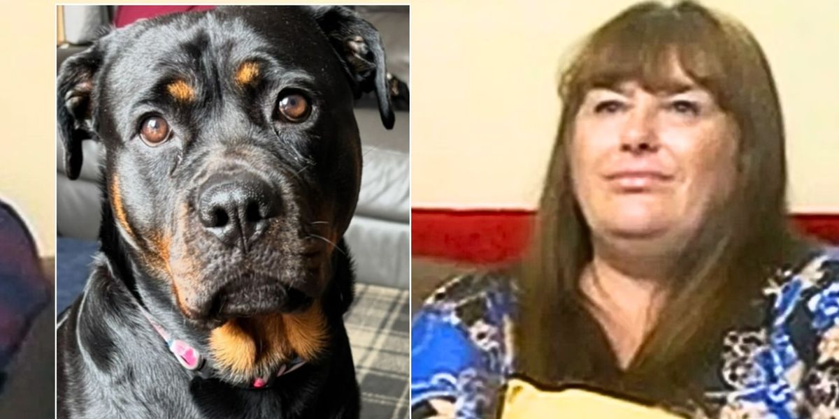 Gogglebox family leave fans heartbroken as they share grief update days on from Channel 4 stars' sad loss