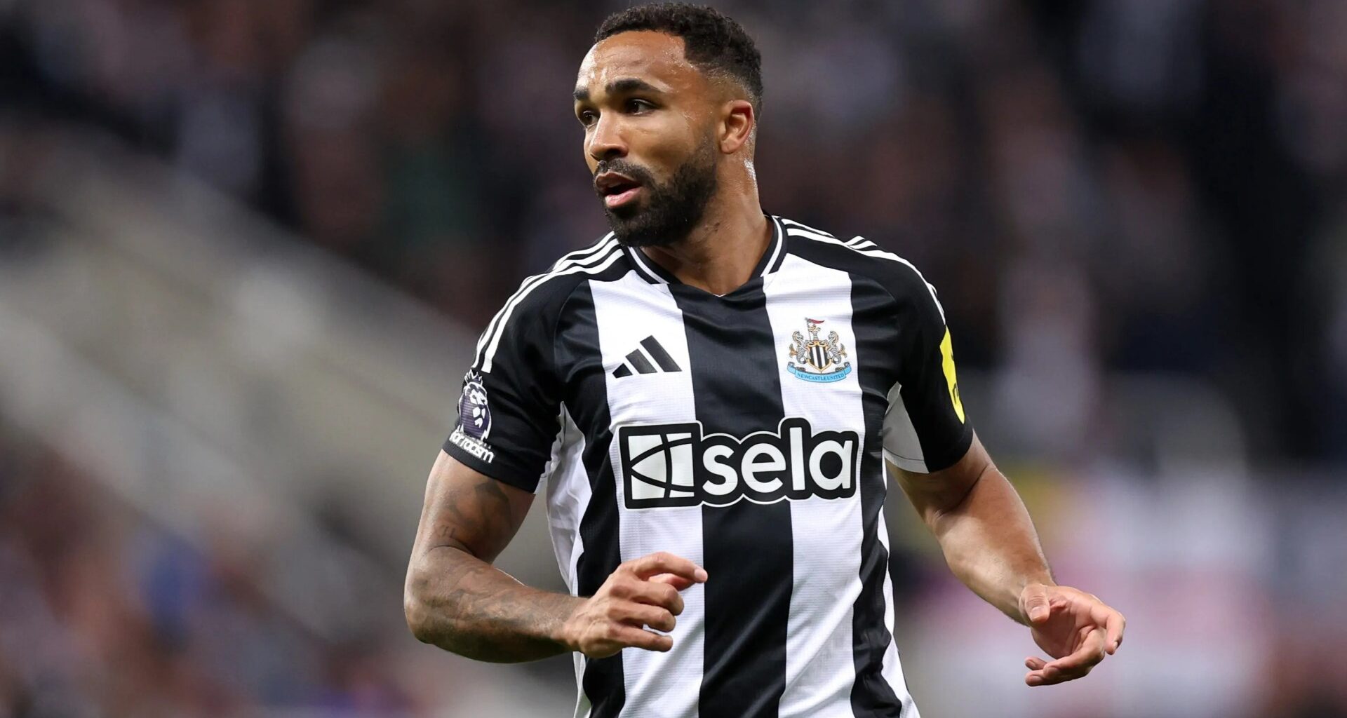Callum Wilson lands new job days after Newcastle announcement