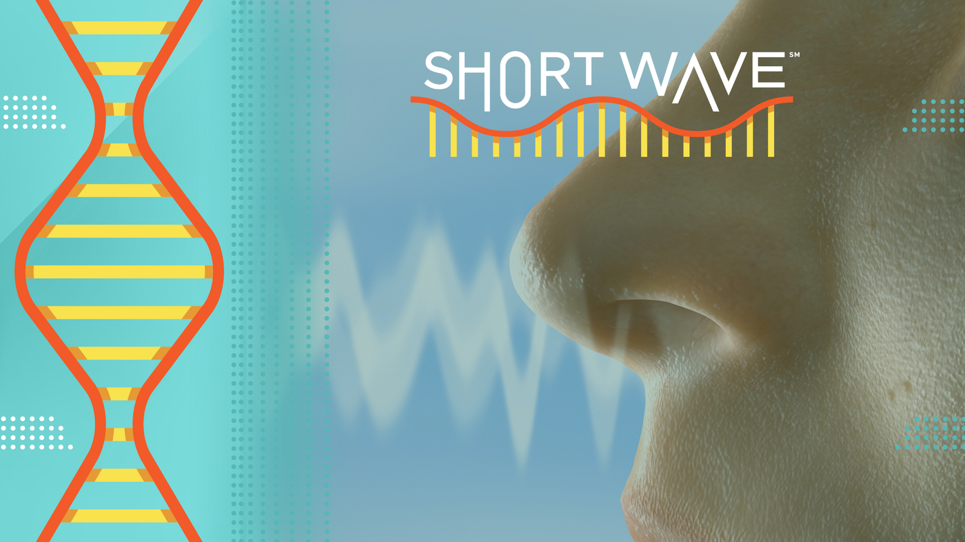 Could anxiety and depression be predicted by your breathing pattern? : Short Wave : NPR