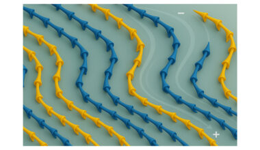 Steering magnetic textures with electric fields shows promise for energy-efficient control