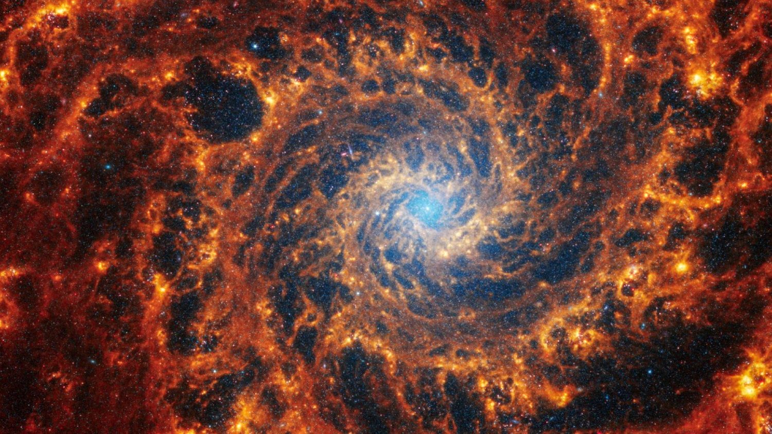 Exploring the cosmos fills us with wonder, Pope tells scientists