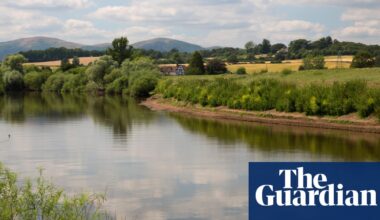 Poultry megafarm in Shropshire halted over river pollution concerns | Environment