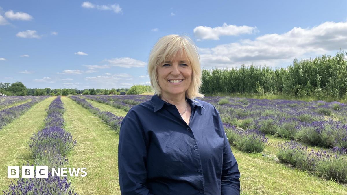 A woman in a dark blue shirt stood in front of rows of planted lavender, separated by grass. The sky is bright and blue with a few clouds.