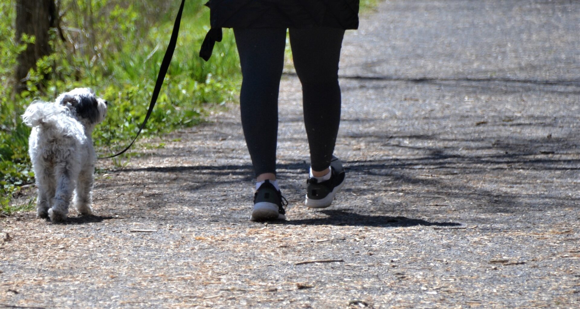Longer walks linked to lower risk of chronic low back pain