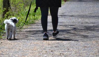 Longer walks linked to lower risk of chronic low back pain