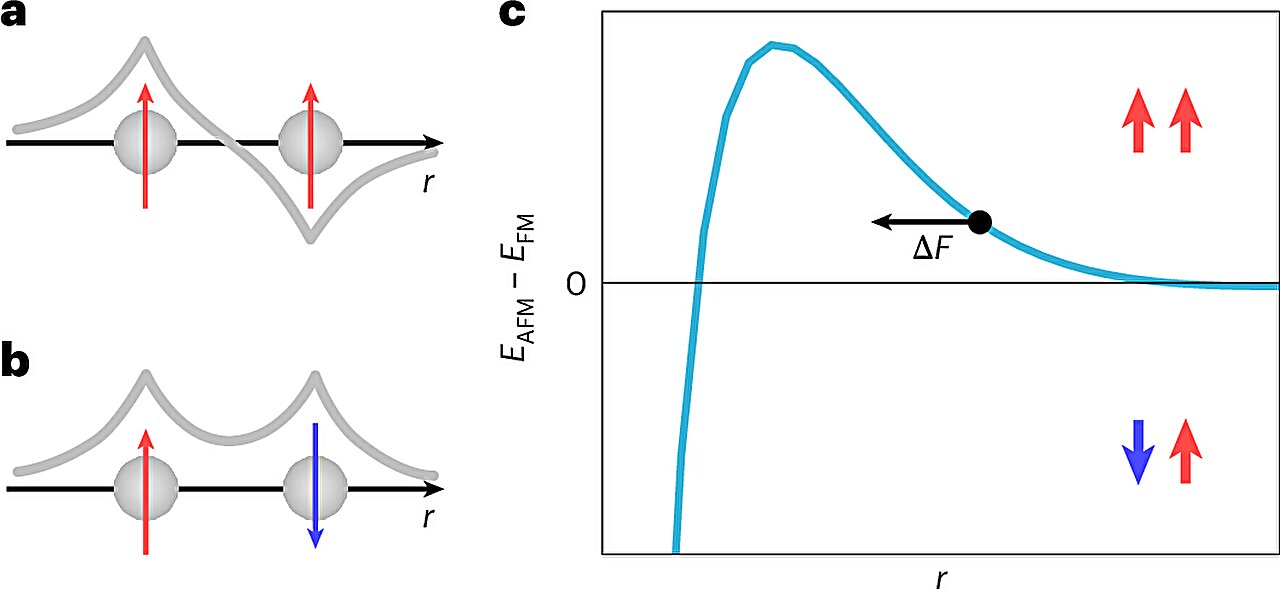 Dramatic stretch in quantum materials confirms 100-year-old prediction