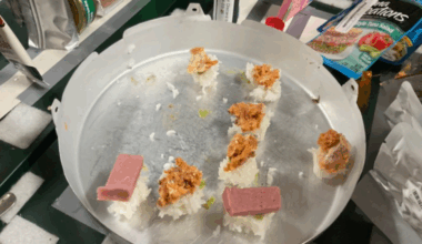 NASA astronauts make ‘space sushi’ aboard the ISS to cheer up sushi-craving crewmate | Trending