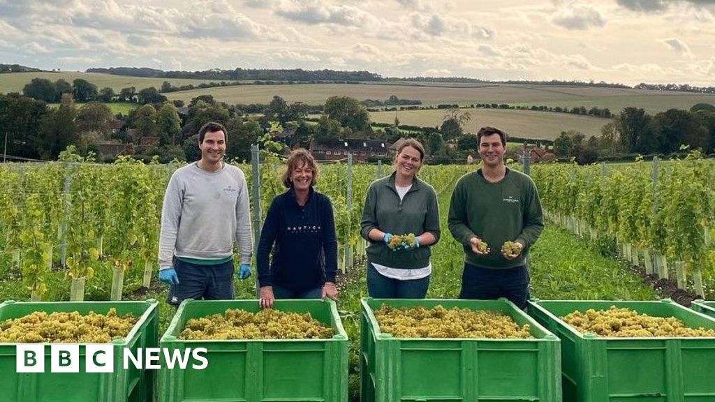 Vineyard helps Berkshire farming family cope with climate change