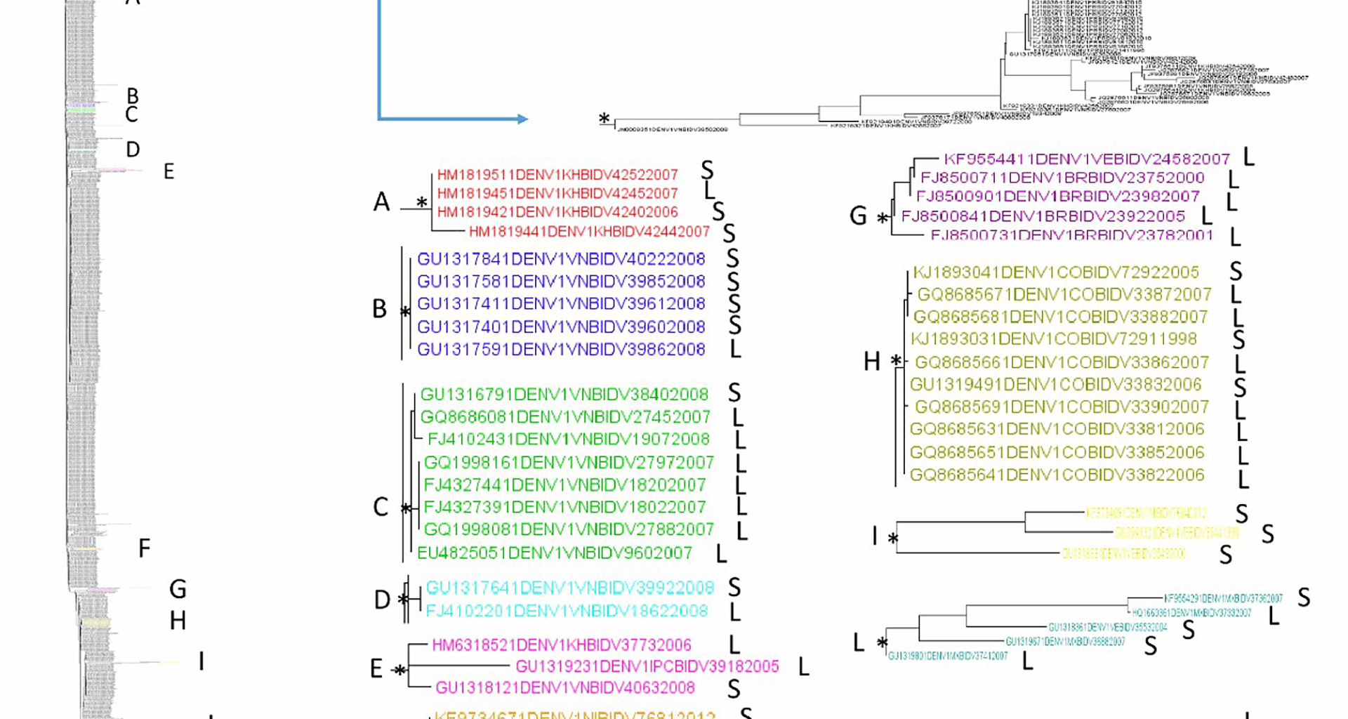 Exploring the genetic diversity of the 3′ untranslated region (UTR) of Dengue virus | Virology Journal