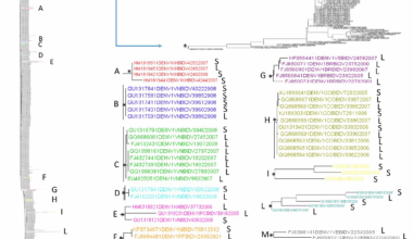 Exploring the genetic diversity of the 3′ untranslated region (UTR) of Dengue virus | Virology Journal