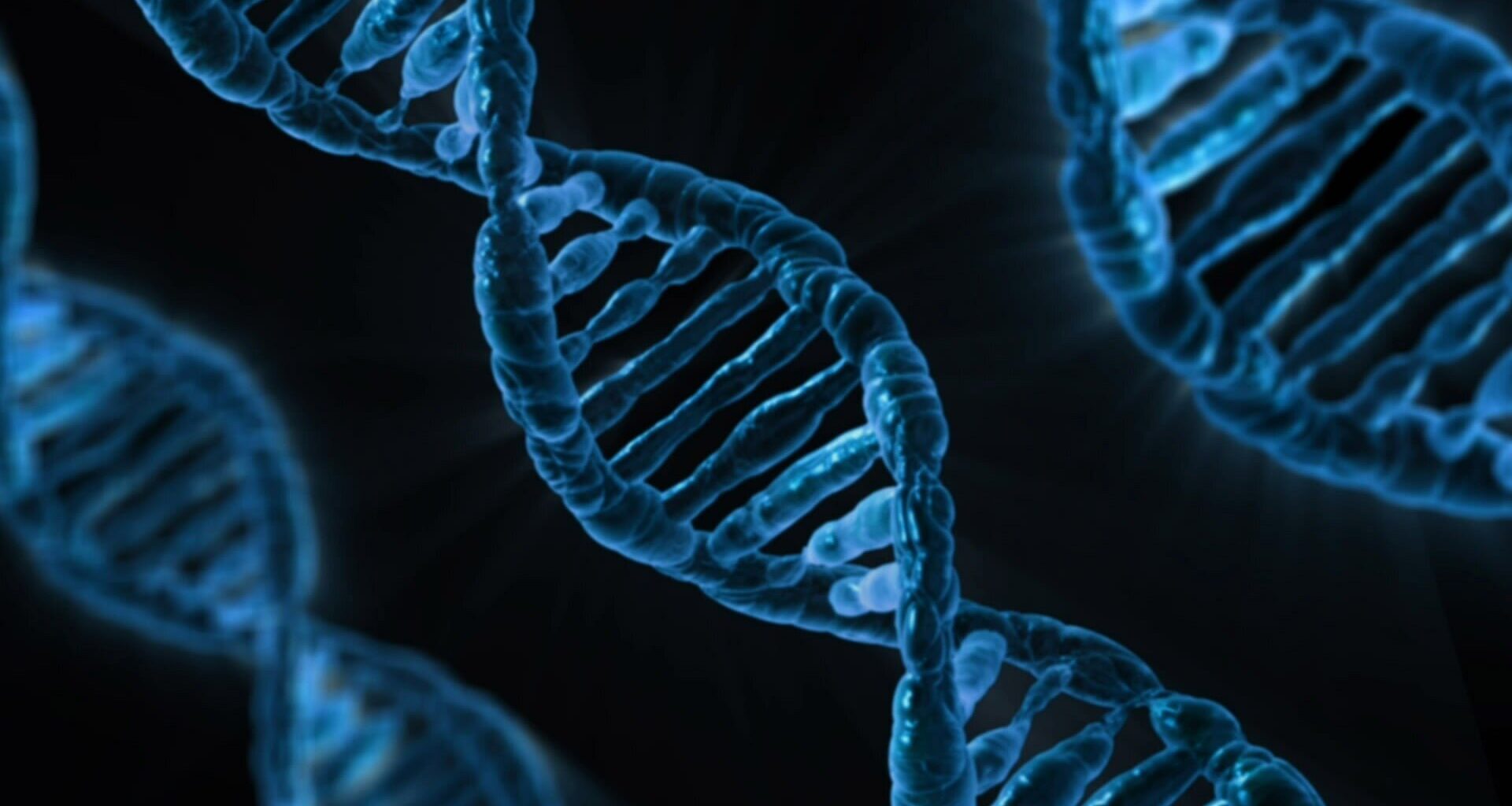 Study reveals 'switch-like' behavior for hundreds of genes with links to human disease