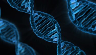 Study reveals 'switch-like' behavior for hundreds of genes with links to human disease