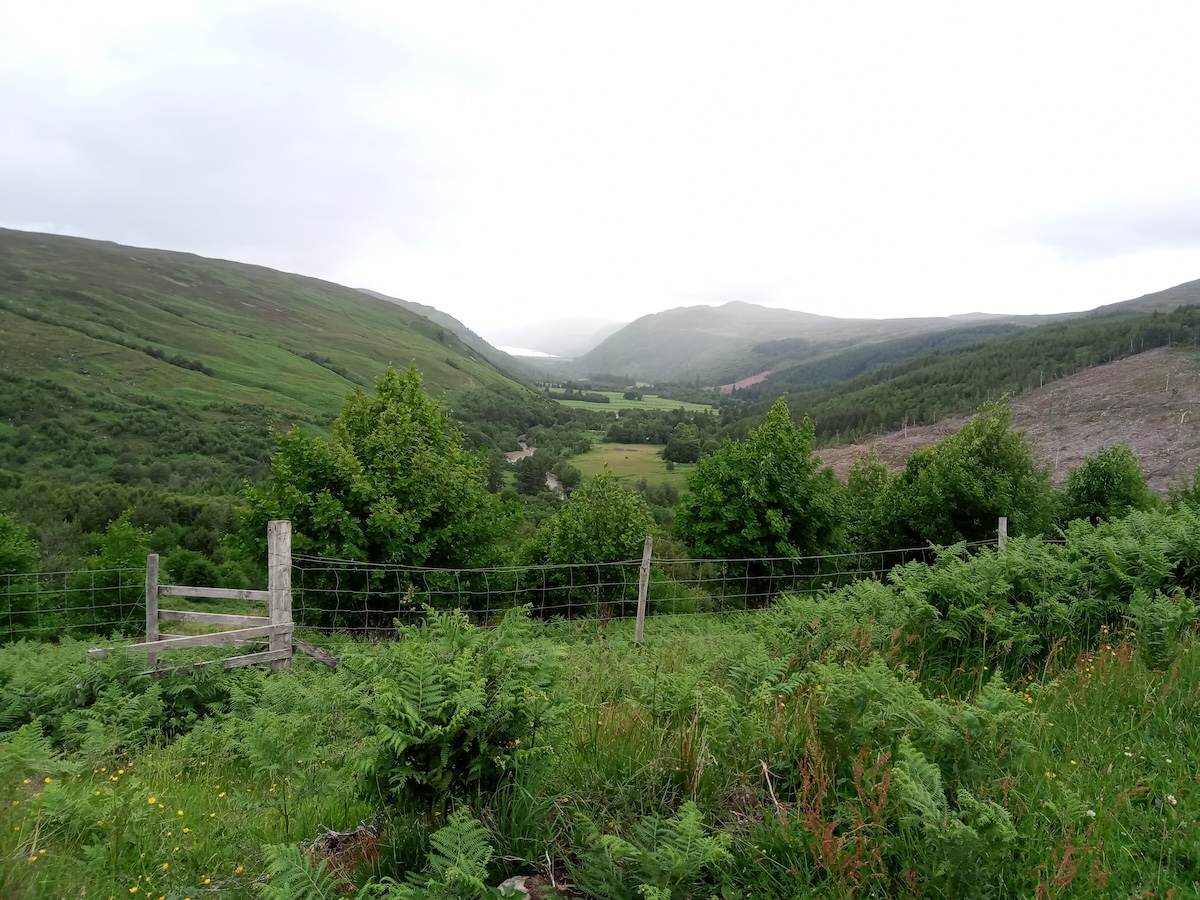Letter from Scotland - The Edinburgh Reporter