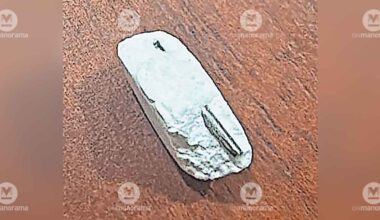 mannarkkad-metal-paracetamol