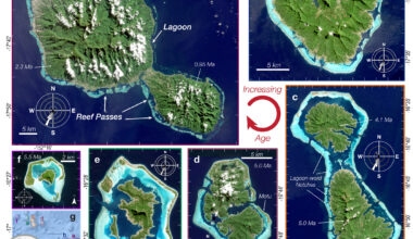 Island rivers carve passageways through coral reefs, maintaining ecosystem health over millions of years