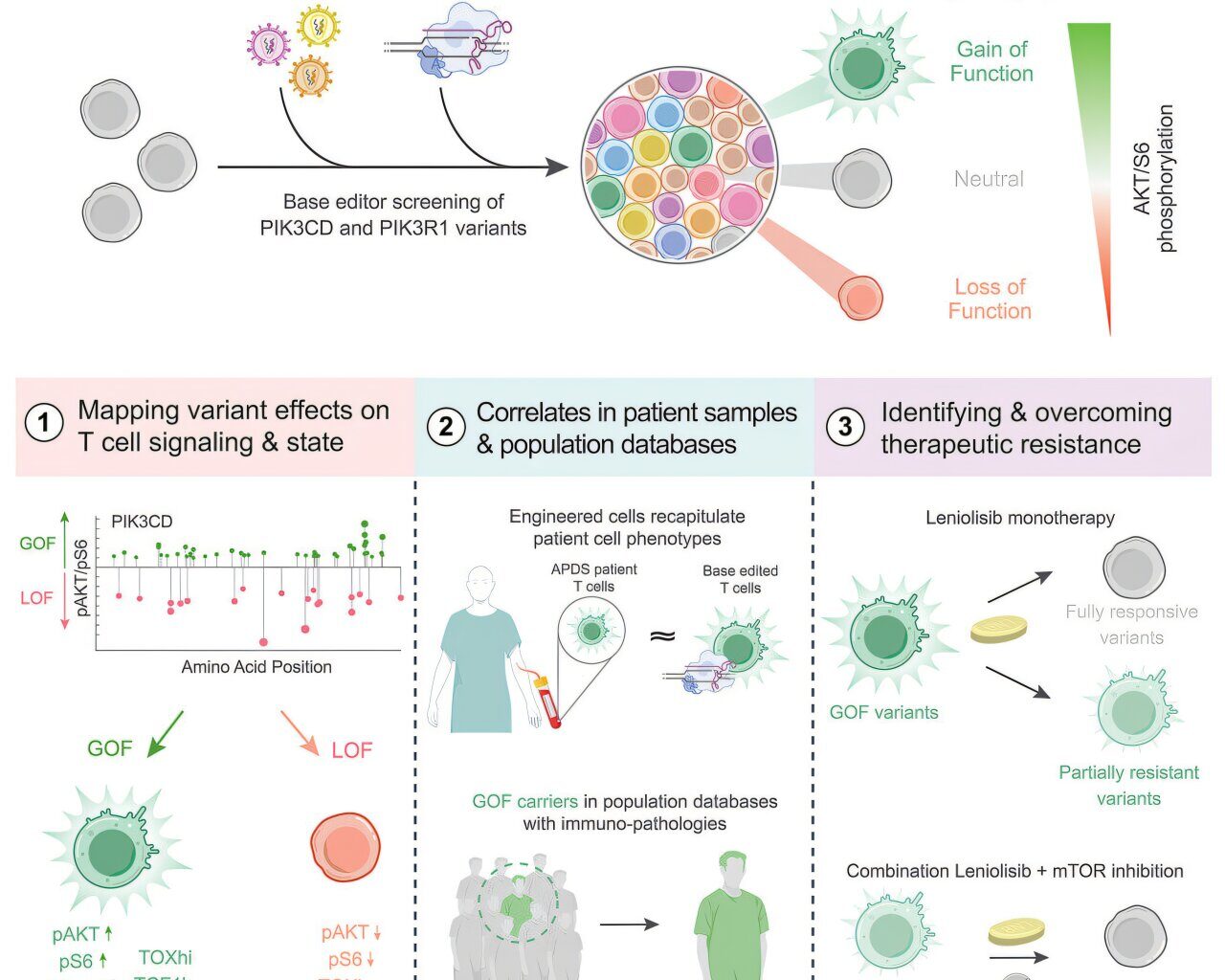 Hidden cases of rare disease uncovered by rapid genetic testing method