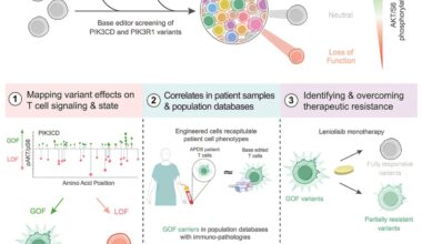 Hidden cases of rare disease uncovered by rapid genetic testing method