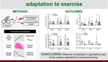 High levels of antihistamine drugs can reduce fitness gains, study finds