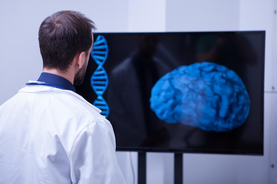 Young Brain surgeon looking at brain 