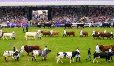 At The Royal Highland Show on Saturday
